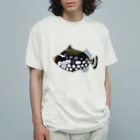 UO5のモンガラカワハギ Organic Cotton T-Shirt