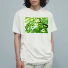 photo-kiokuの風に揺れる木 オーガニックコットンTシャツ