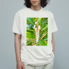 mizuphoto galleryの月桃 オーガニックコットンTシャツ