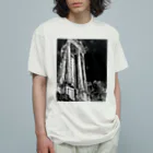 ギトチマンの建造物 オーガニックコットンTシャツ