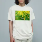 photo-kiokuのビョウヤナギ オーガニックコットンTシャツ