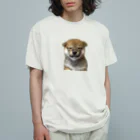 ロクサンの柴犬　子犬　Tシャツ オーガニックコットンTシャツ