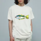ペンペンストアのブリのTシャツ yellowtail Organic Cotton T-Shirt