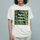 HMDO okinawaのdollardollar box green Organic Cotton T-Shirt
