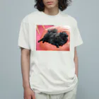 かねこまの寝る犬 オーガニックコットンTシャツ