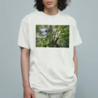 山の幸の森林浴 オーガニックコットンTシャツ