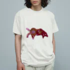 DSW_irobinikiのあおってくる黒猫 オーガニックコットンTシャツ