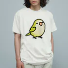 Cody the LovebirdのChubby Bird オキナインコ オーガニックコットンTシャツ