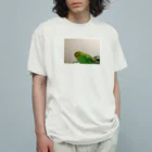 佐々木Kのテスト商品 オーガニックコットンTシャツ