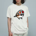 Cody the LovebirdのChubby Bird キンカチョウ オーガニックコットンTシャツ