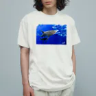 古見きゅう/ and 9 films オンラインショップ のシルキーシャーク オーガニックコットンTシャツ