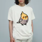 Cody the LovebirdのChubby Bird オカメインコ オーガニックコットンTシャツ