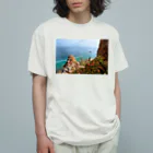 WHITETREE（ホワイトツリー）のTAINAIMEGURI　Vol.1 Organic Cotton T-Shirt