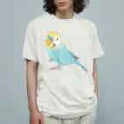 まめるりはことりの見上げるセキセイインコちゃん【まめるりはことり】 オーガニックコットンTシャツ