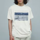 ハチドリ販売所の流氷と鳥 オーガニックコットンTシャツ