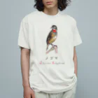 森図鑑の[森図鑑] ノゴマ Organic Cotton T-Shirt