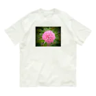 solabuluの春ぼんぼり Organic Cotton T-Shirt