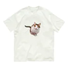 桃くるみSHOPの遊んでにゃん Organic Cotton T-Shirt