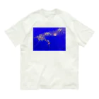 World Peace HaNaの涙の雫 オーガニックコットンTシャツ