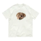 inudesugaのくーちゃん オーガニックコットンTシャツ