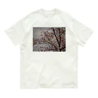 ムーンライトのレトロSAKURA Organic Cotton T-Shirt