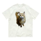 トロールショップの我が家のお猫様が見てます(笑) オーガニックコットンTシャツ