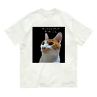 いわたみーと😿現在お昼寝中のきょうのごはんはぶりだいこん オーガニックコットンTシャツ