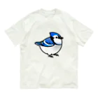 Cody the LovebirdのChubby Bird アオカケス　ブルージェイ オーガニックコットンTシャツ