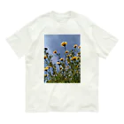 MMの黄色い春菊の花 オーガニックコットンTシャツ