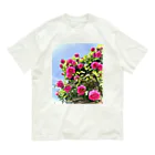 maikoのショップの薔薇と青空 オーガニックコットンTシャツ