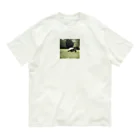 hinn-ketuの４、カメのお散歩 Organic Cotton T-Shirt