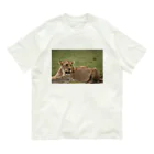 mayura_photoのサバンナのメスライオン Organic Cotton T-Shirt