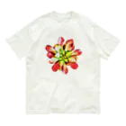 JaachanのSucculents series アエオニウム Organic Cotton T-Shirt