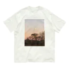 Cororineの冬の夜のはじまり Organic Cotton T-Shirt