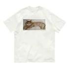 nayamashiinekoのちゃいろのねこ Organic Cotton T-Shirt