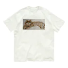 nayamashiinekoのちゃいろのねこ オーガニックコットンTシャツ