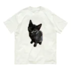 ねこねこねこねこのくーちゃん Organic Cotton T-Shirt