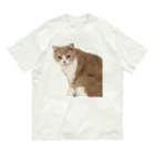 Mashlyのマシロくん猫グッズ オーガニックコットンTシャツ