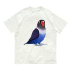 まめるりはことりのボタンインコ　おすましコバルトブルー【まめるりはことり】 オーガニックコットンTシャツ