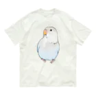 まめるりはことりのおすましコザクラインコ　らむねちゃん【まめるりはことり】 オーガニックコットンTシャツ