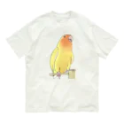 まめるりはことりの得意げ可愛い　コザクラインコちゃん【まめるりはことり】 オーガニックコットンTシャツ