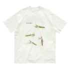 L_arctoaのウスバカマキリ（背景透過ver） オーガニックコットンTシャツ