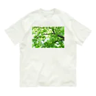 photo-kiokuの風に揺れる木 オーガニックコットンTシャツ