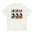 mmrのNew mim294 Organic Cotton T-Shirt