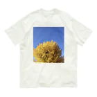 #宗ノ字のある日のイチョウ Organic Cotton T-Shirt