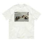 愛猫のグッズが欲しいのアライグマナスカルと子どもたち Organic Cotton T-Shirt