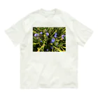 淡路島の風景のプンタレッラ  オーガニックコットンTシャツ
