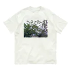 korineversの自然 Organic Cotton T-Shirt