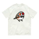 Cody the LovebirdのChubby Bird キンカチョウ オーガニックコットンTシャツ