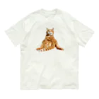 Cats & StarのShimashima Mountain Organic Cotton T-Shirt